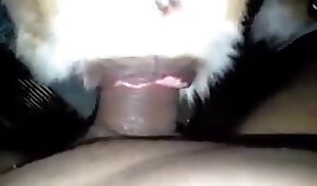 gape,beastiality porn