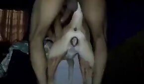 gape,beastiality porn