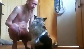 bestiality videos,beastiality porn