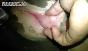 boquiaberto,zoológico foda pornô